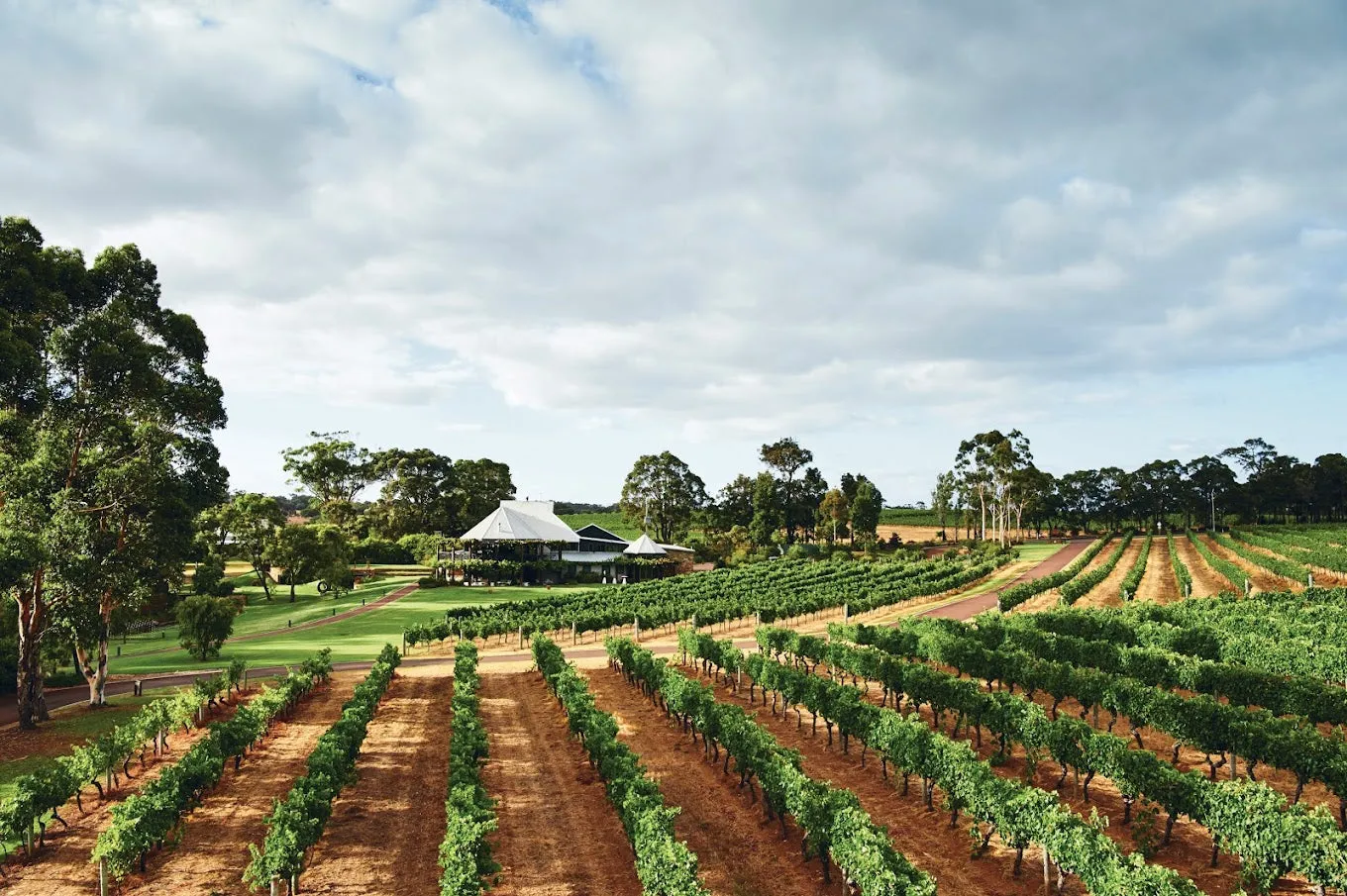 2021 Vasse Felix Filius Chardonnay, Margaret River, Western Australia