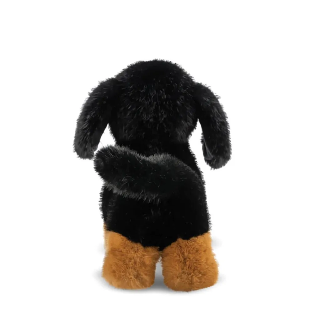 AURORA Borealis Koda Dachshund 15in