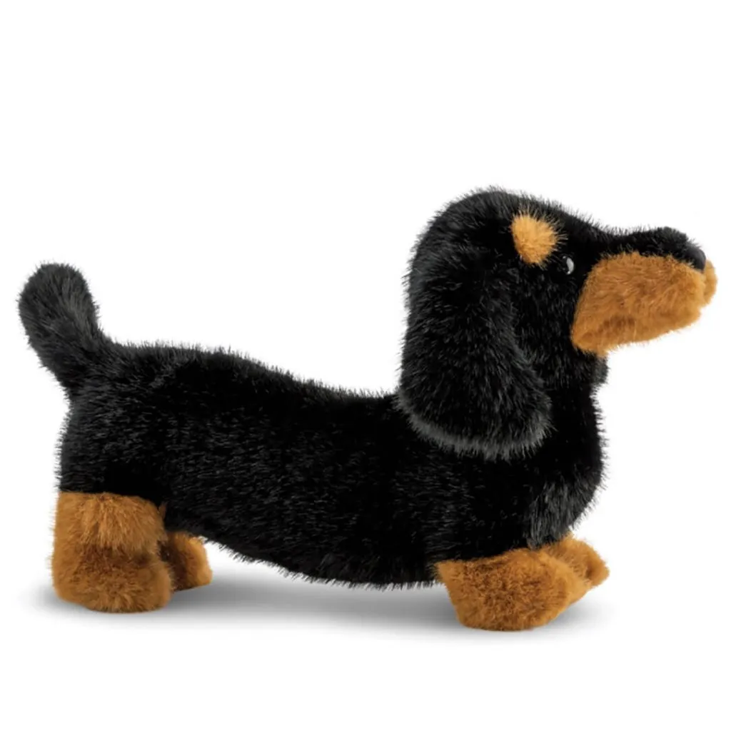 AURORA Borealis Koda Dachshund 15in