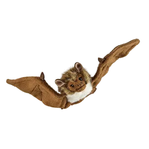 Bat