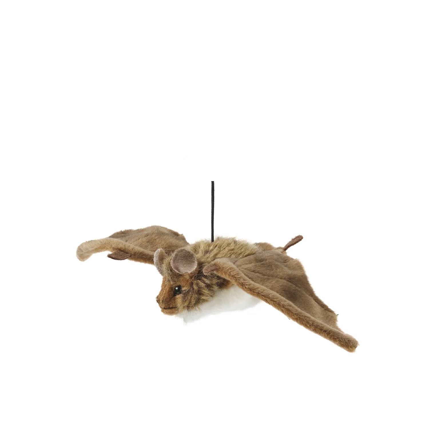 Bat