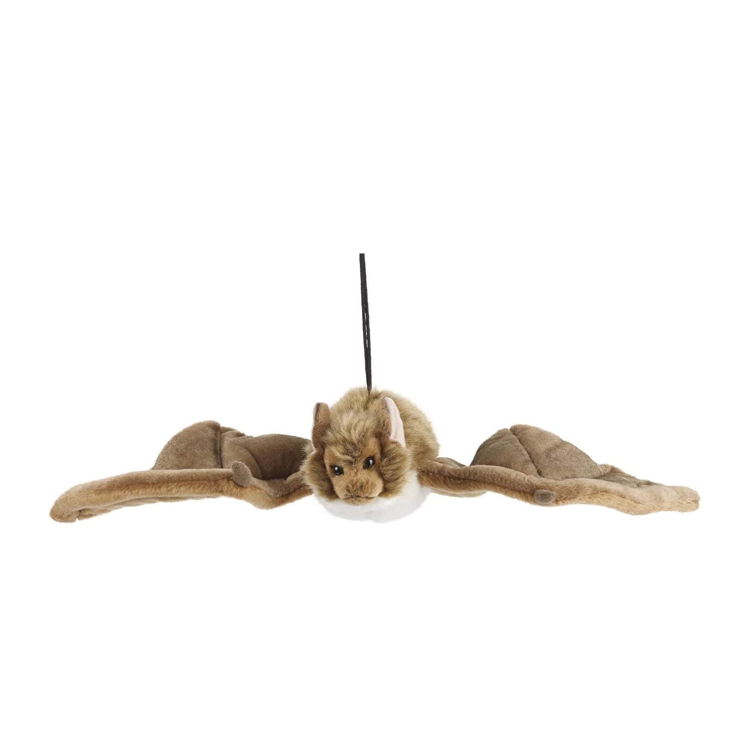 Bat