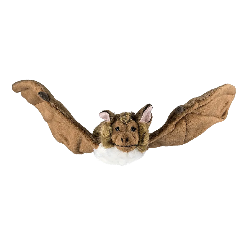 Bat