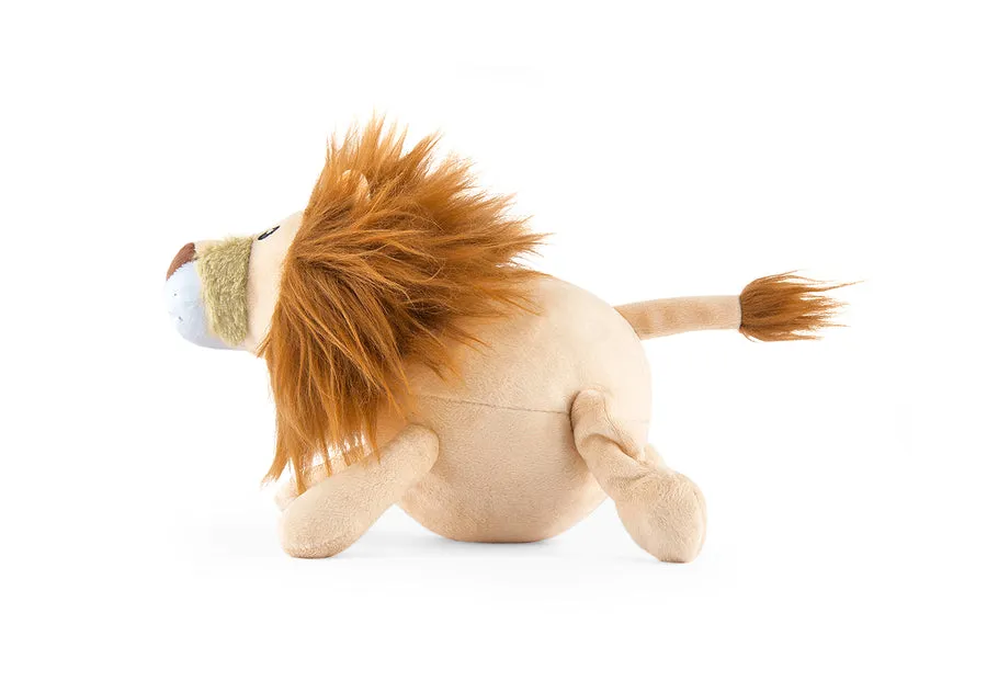 Big Five of Africa - Lion