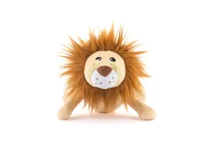 Big Five of Africa - Lion