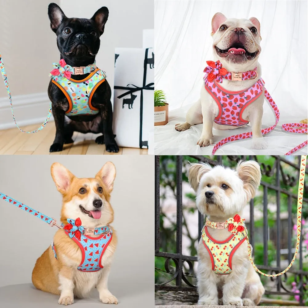 Cherry Fruit Love: Personalized SET/Collar, Leash And Harness