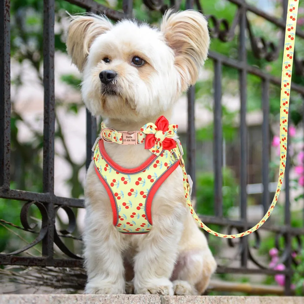 Cherry Fruit Love: Personalized SET/Collar, Leash And Harness