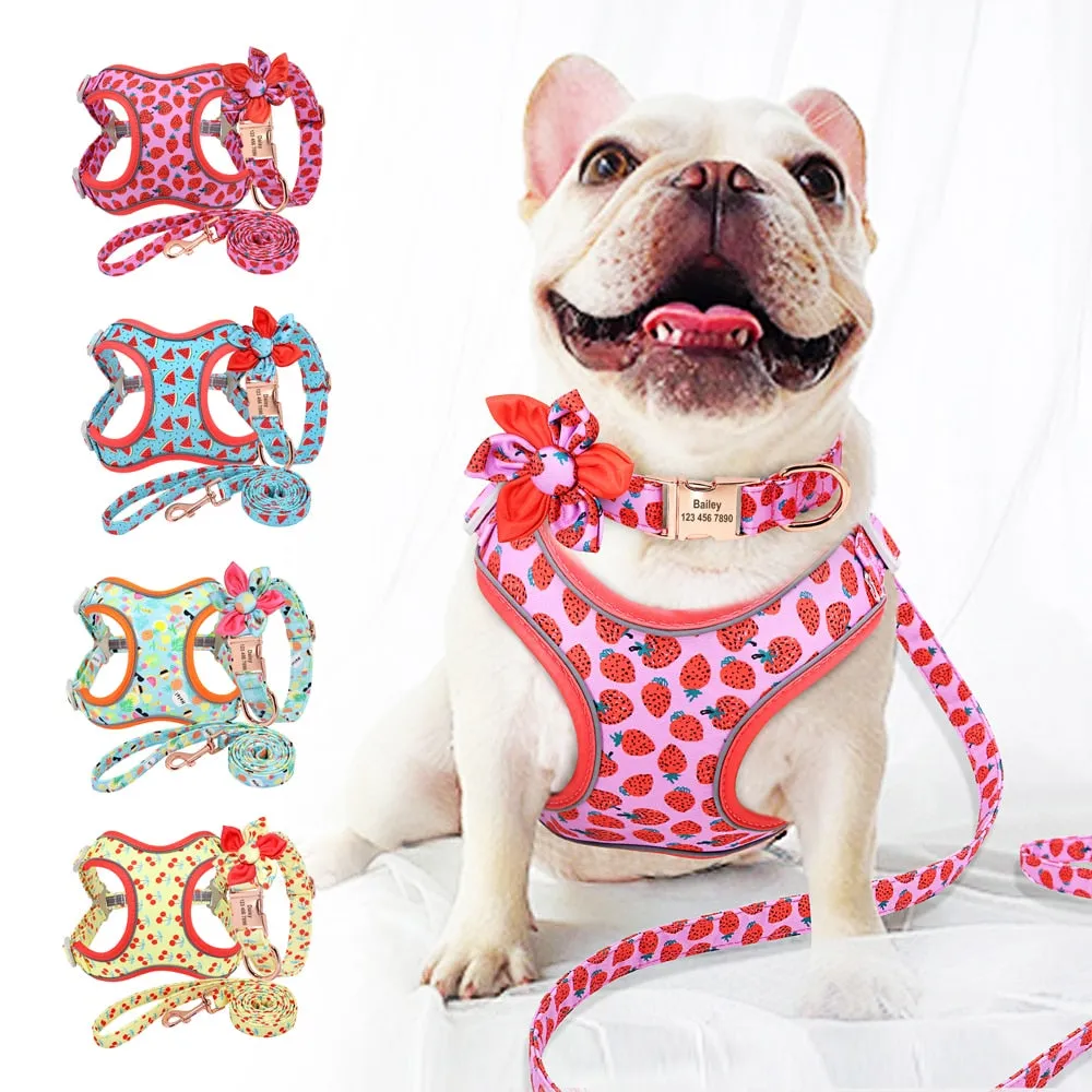 Cherry Fruit Love: Personalized SET/Collar, Leash And Harness