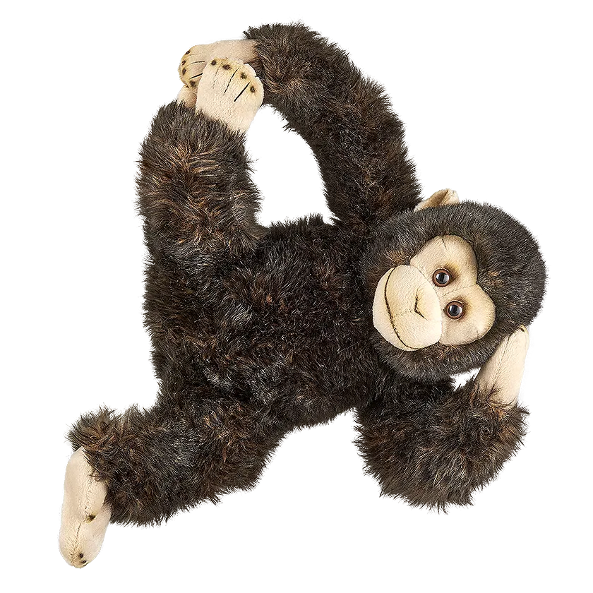 Chimpanzee