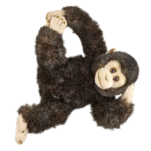 Chimpanzee