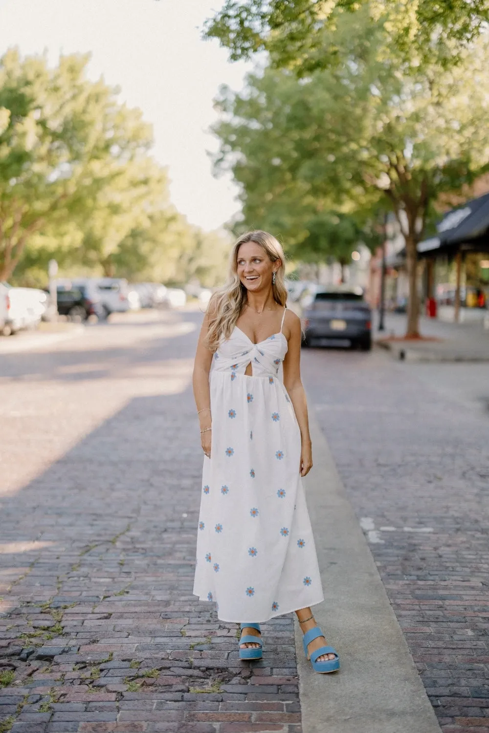 Daisy Embroidered Cut Out Dress (S-3XL)