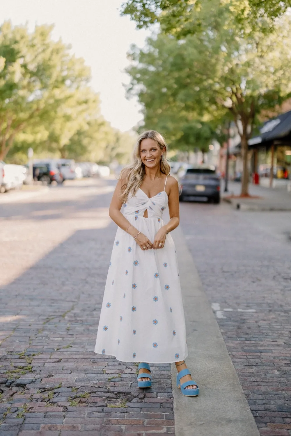 Daisy Embroidered Cut Out Dress (S-3XL)