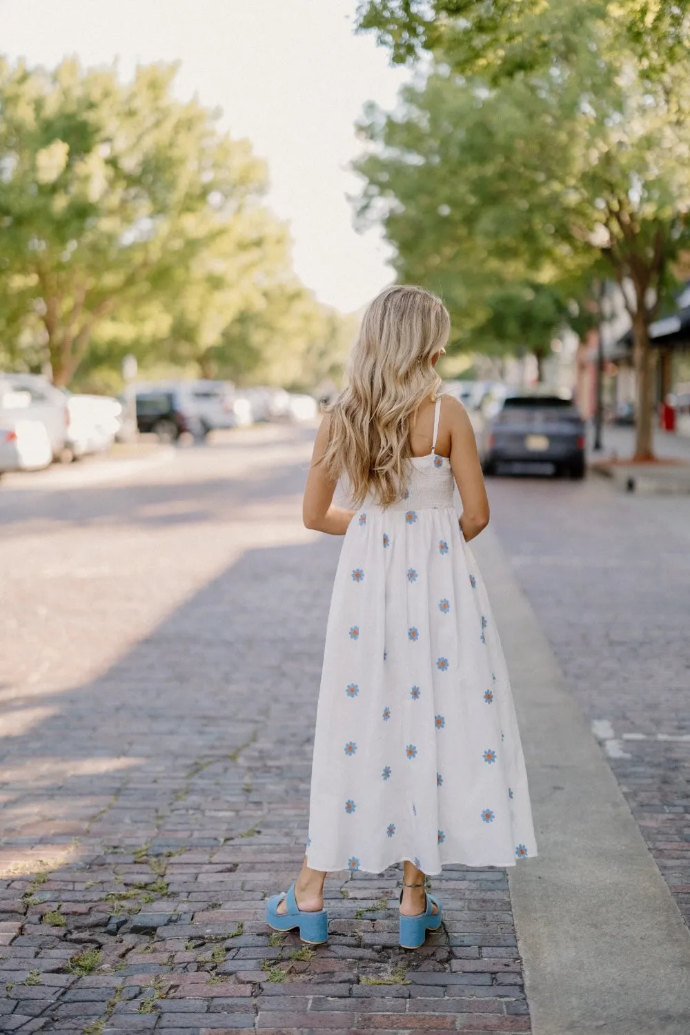 Daisy Embroidered Cut Out Dress (S-3XL)