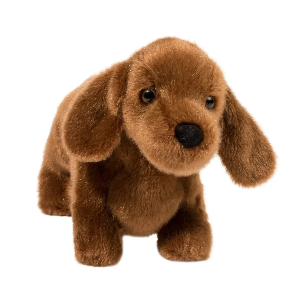 Douglas - Softs - Dilly Dachshund