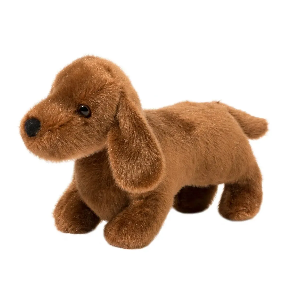 Douglas - Softs - Dilly Dachshund