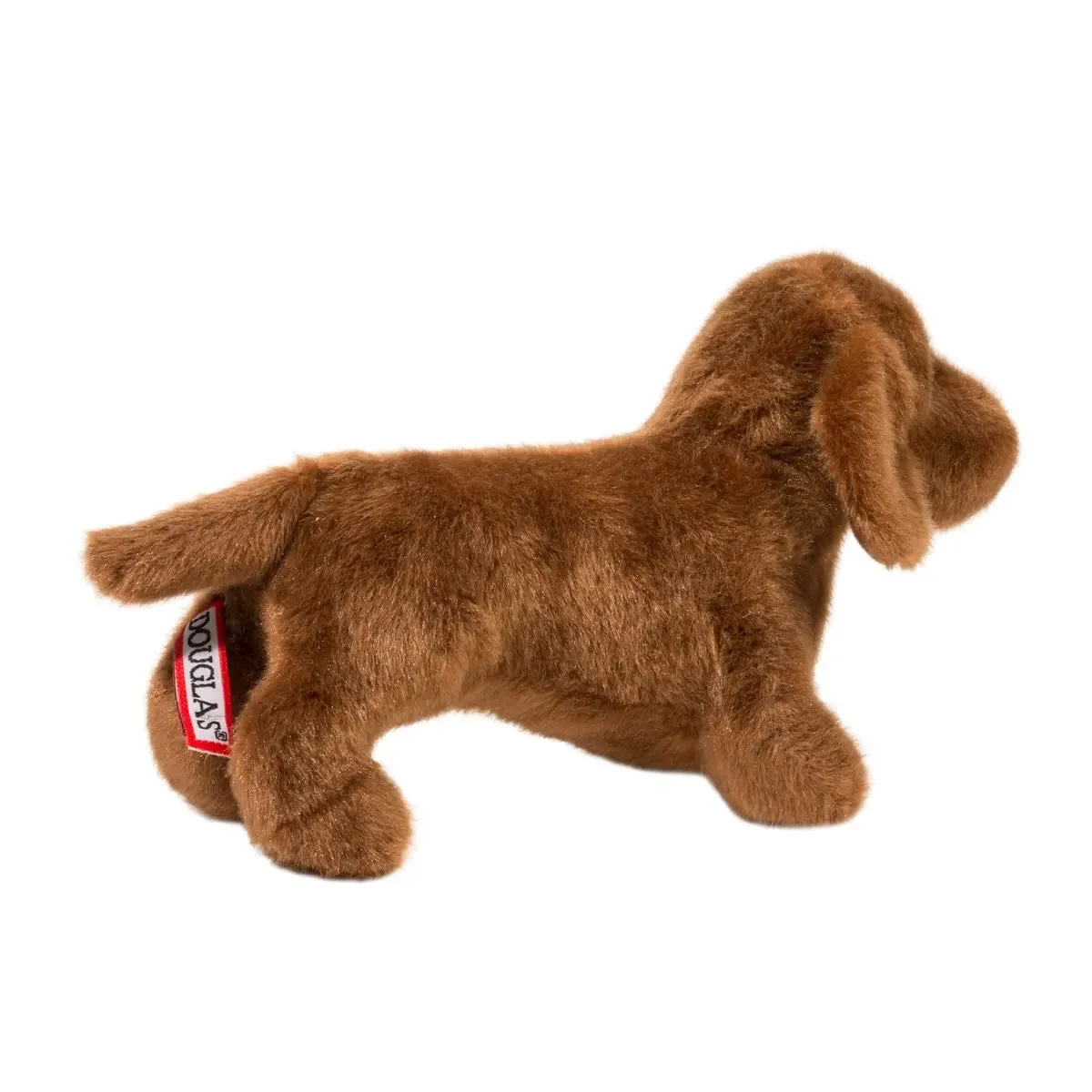 Douglas - Softs - Dilly Dachshund
