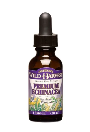 Echinacea Raspberry GL