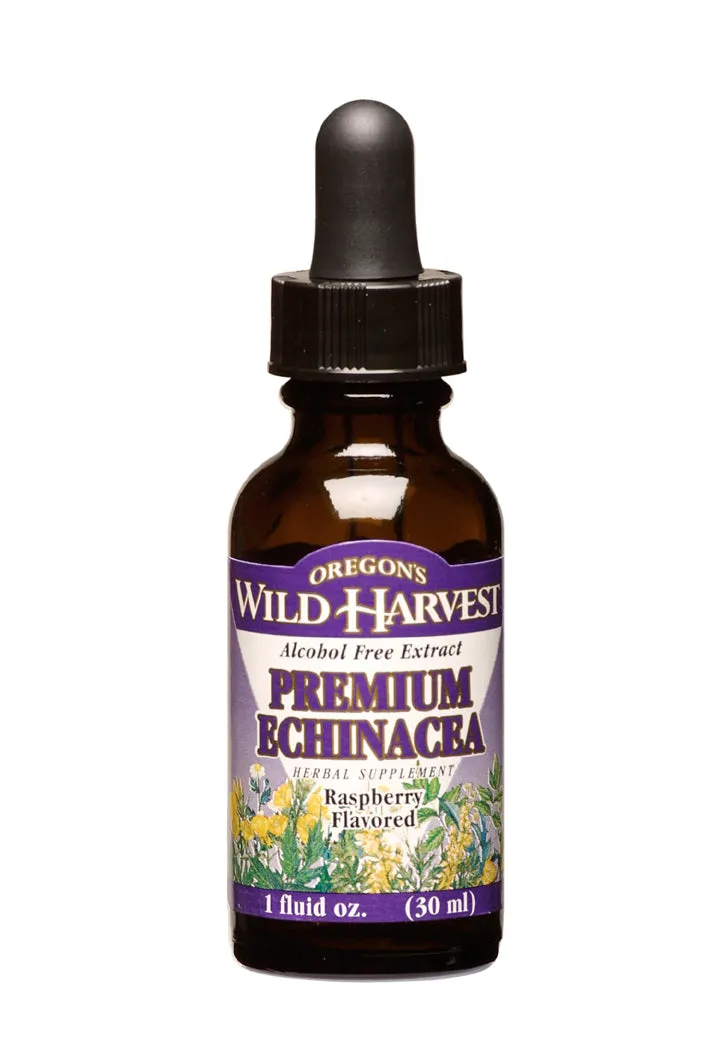 Echinacea Raspberry GL