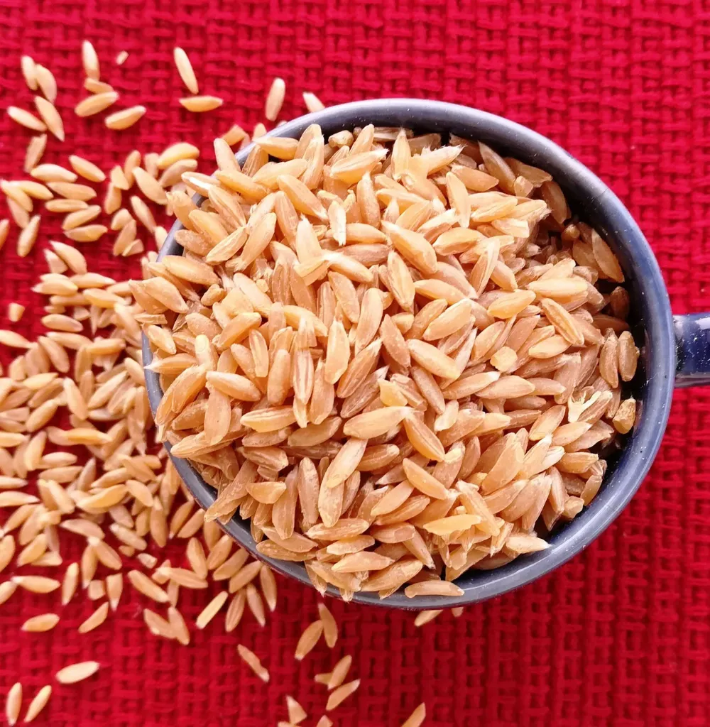 Emmer/Khapli Wheat
