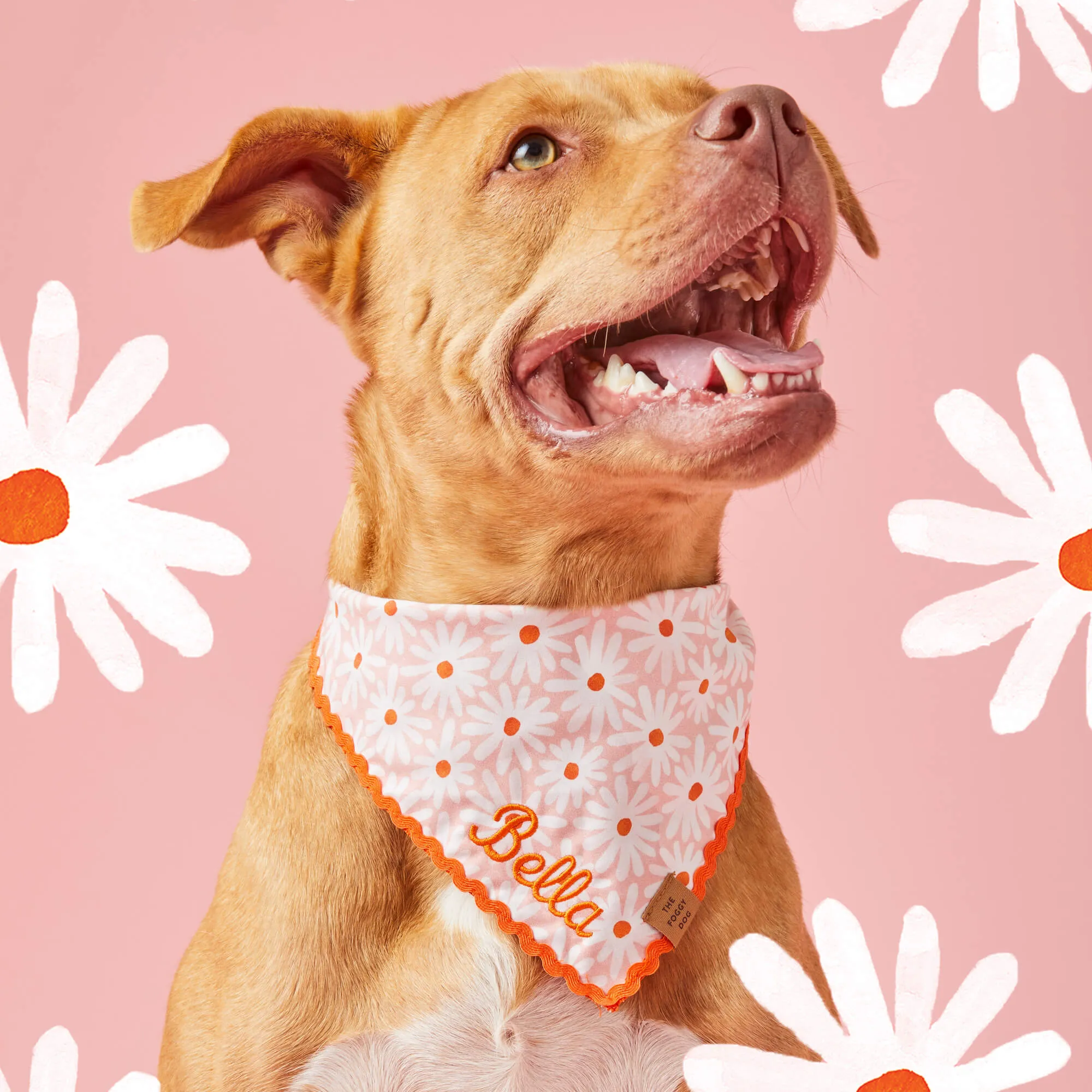 Fresh as a Daisy Dog Bandana