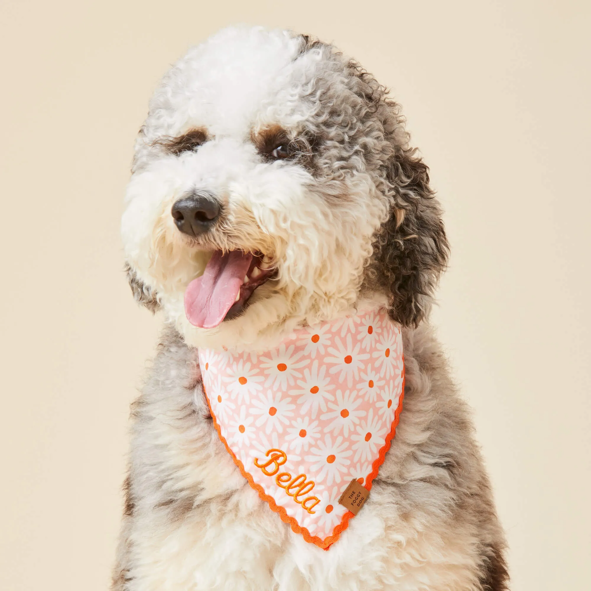 Fresh as a Daisy Dog Bandana