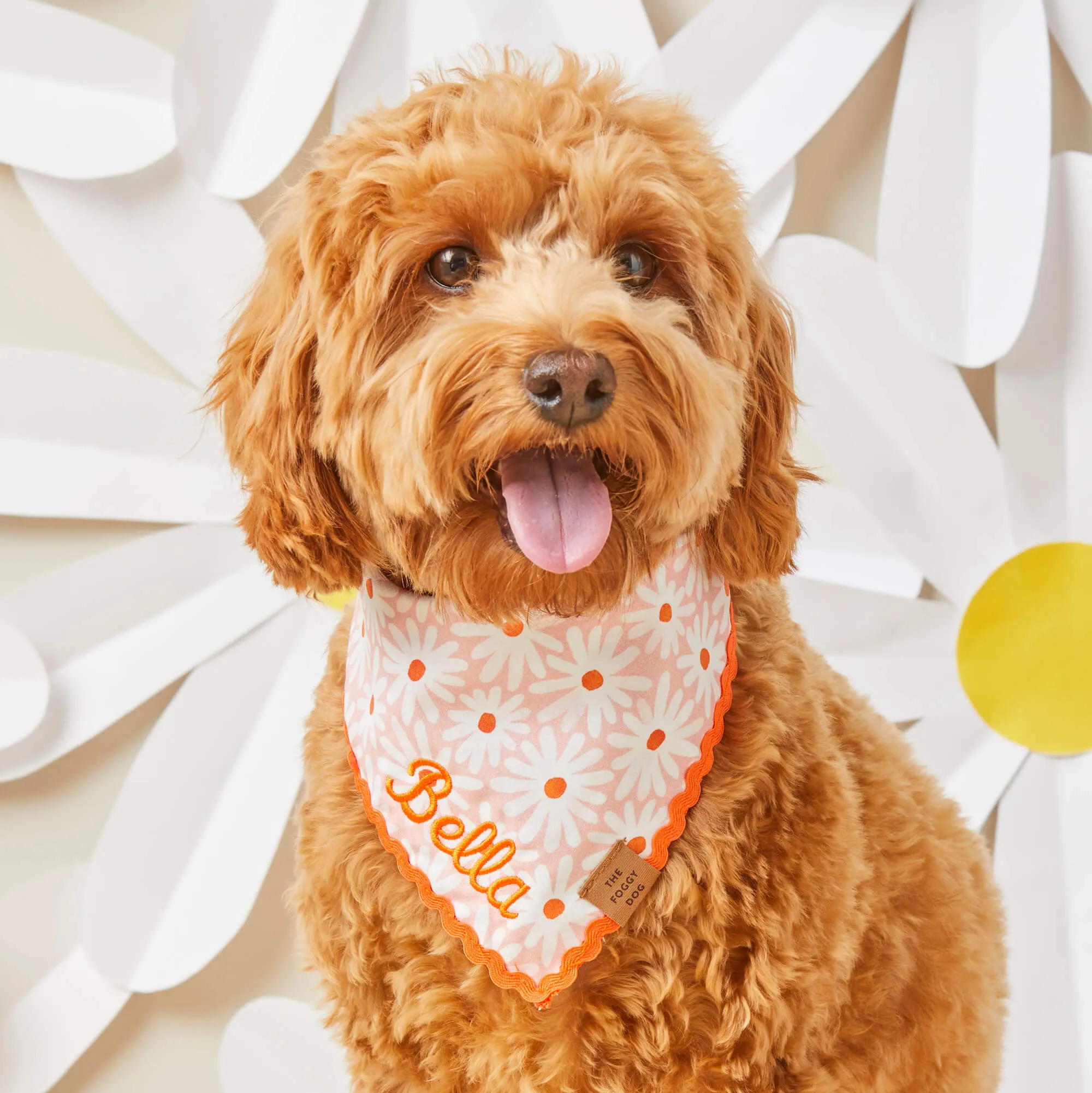 Fresh as a Daisy Dog Bandana