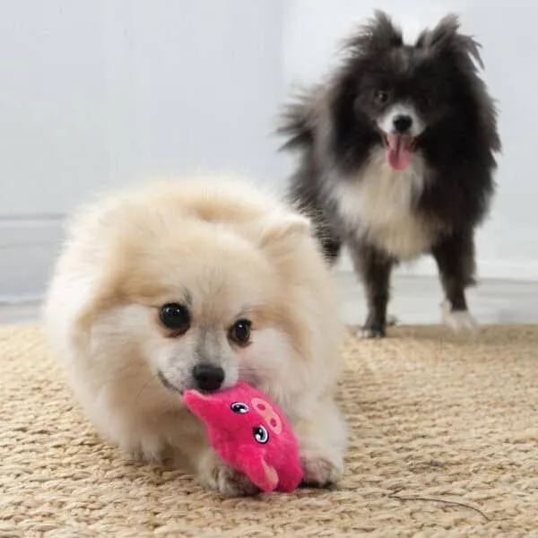 KONG® Snuzzles Mini Animal Dog Plush Toy