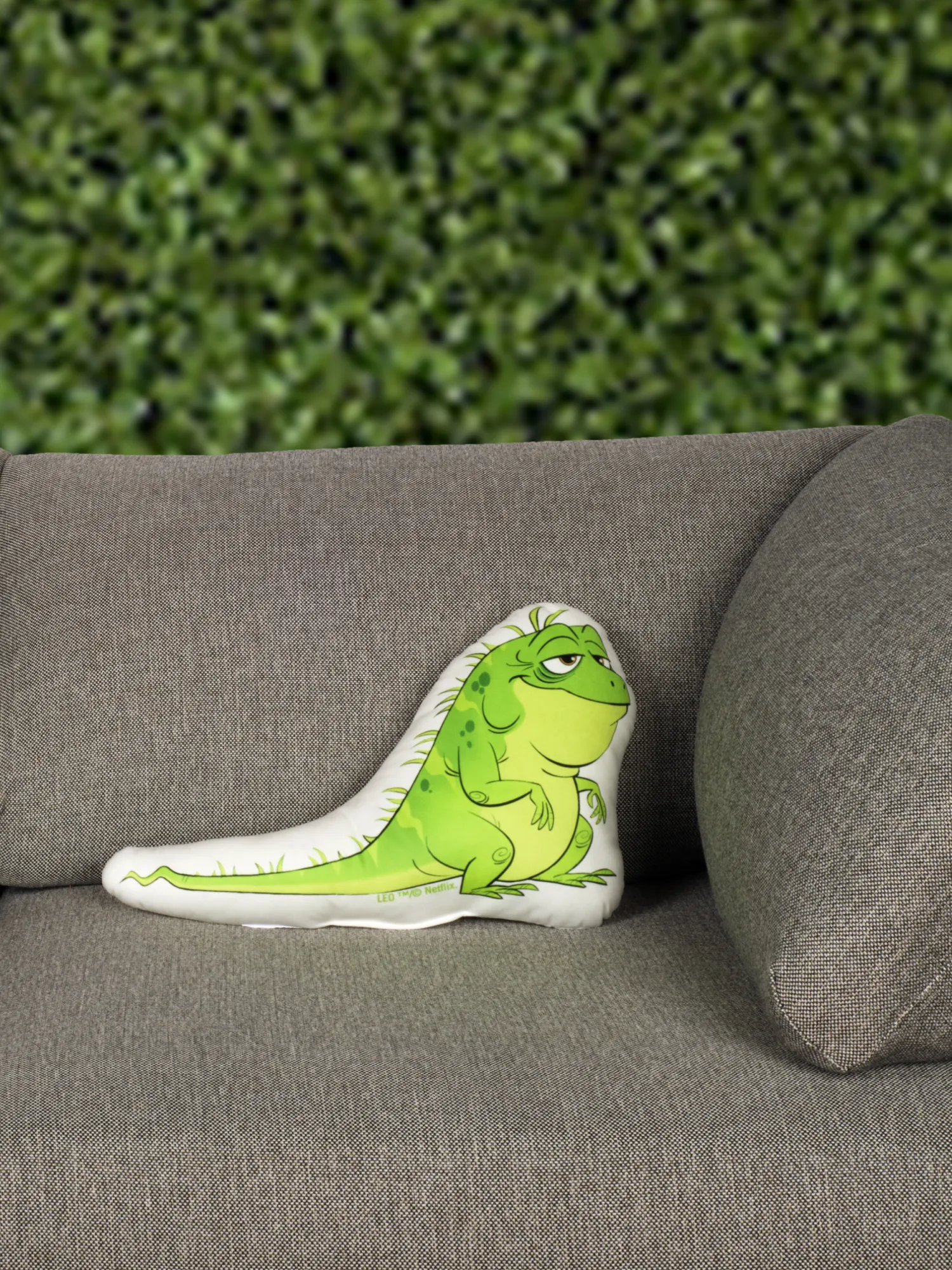Leo Pillow