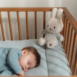 Little Dutch x Miffy Cuddle 30 cm - Lucky Leaves