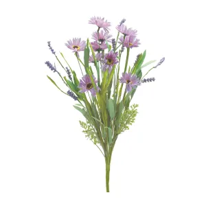 Mixed Daisy Bush (Set of 6)