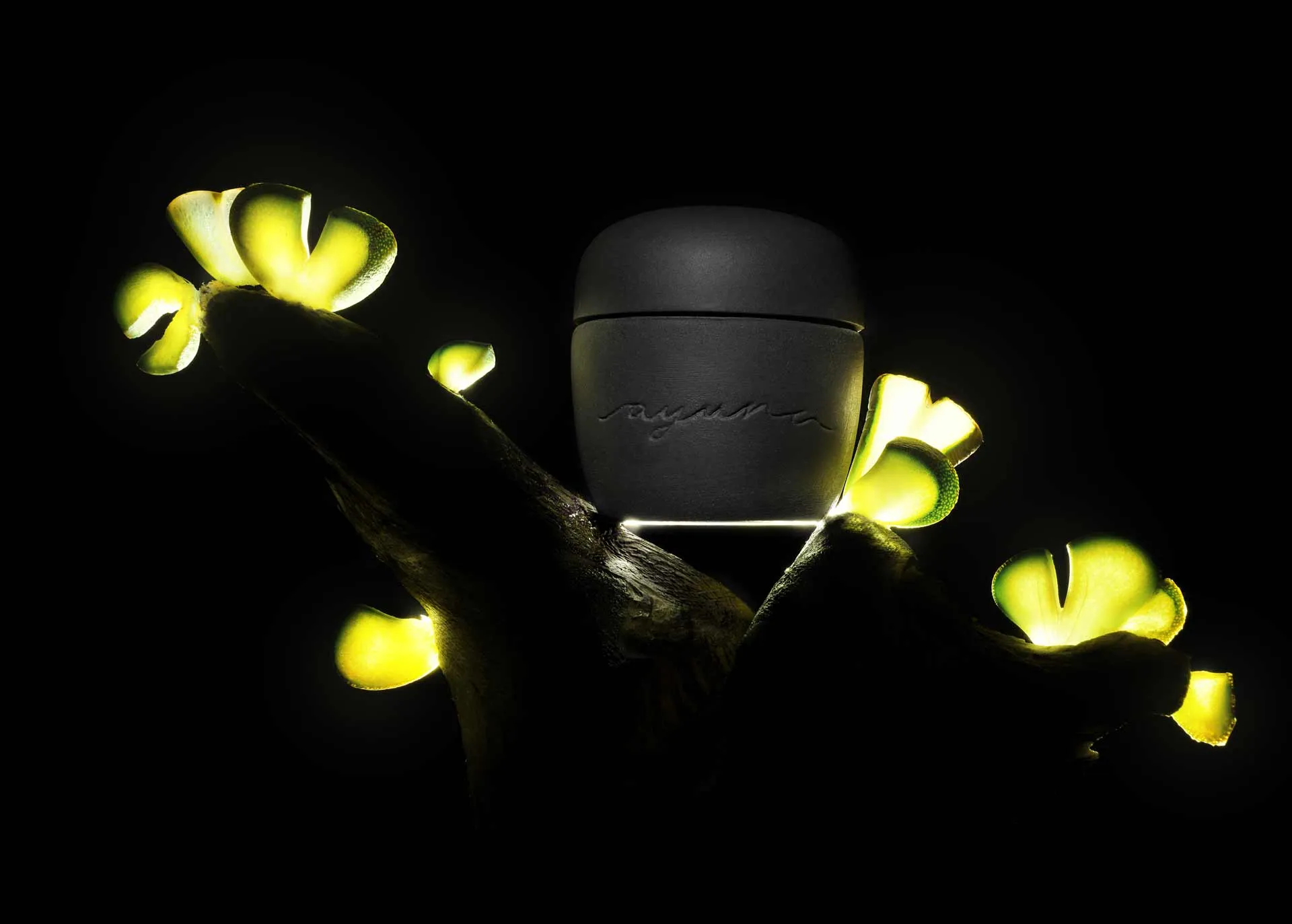 nectar – Vivifying Skin-D Nectar