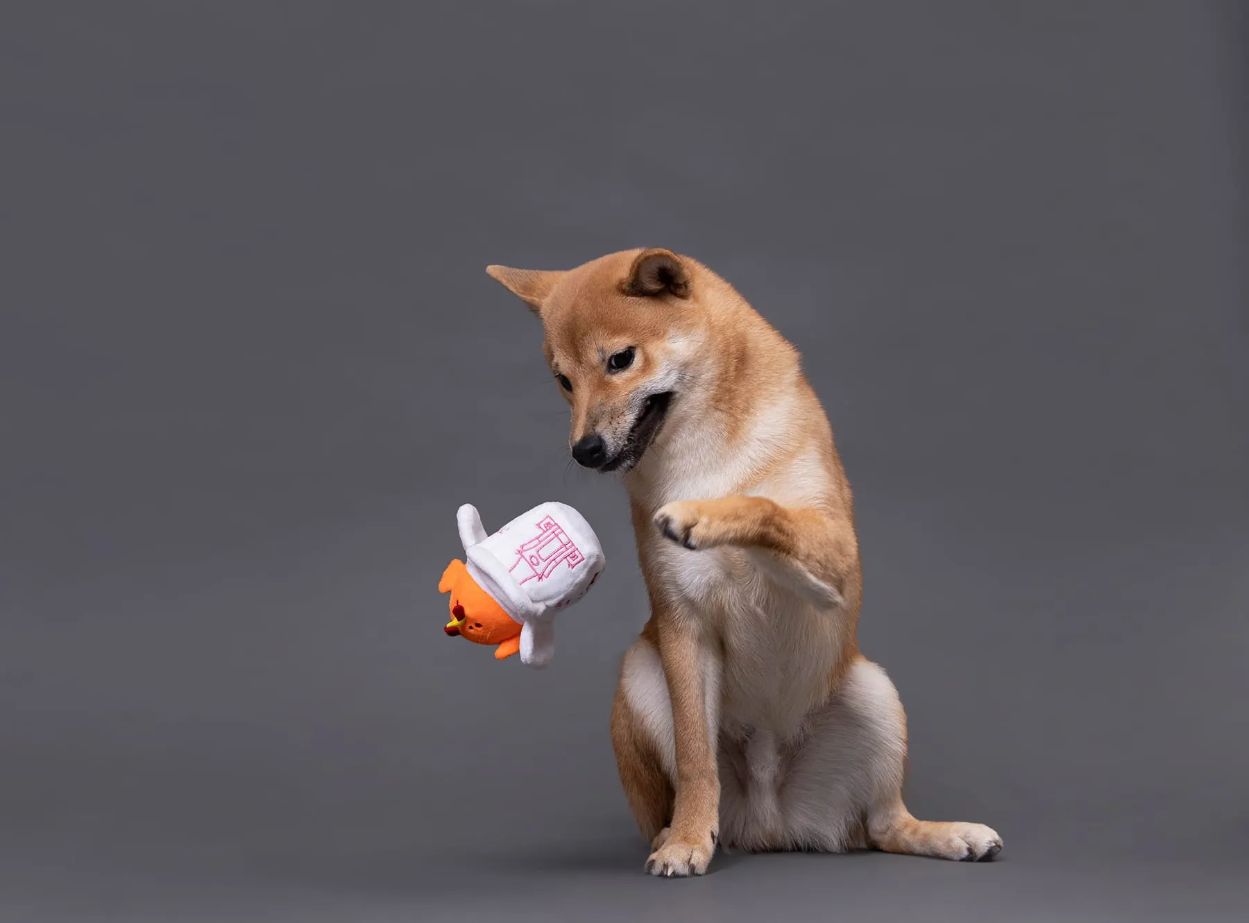 Orange: The Chicken