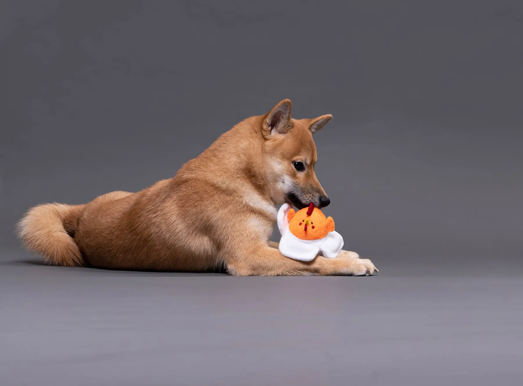 Orange: The Chicken