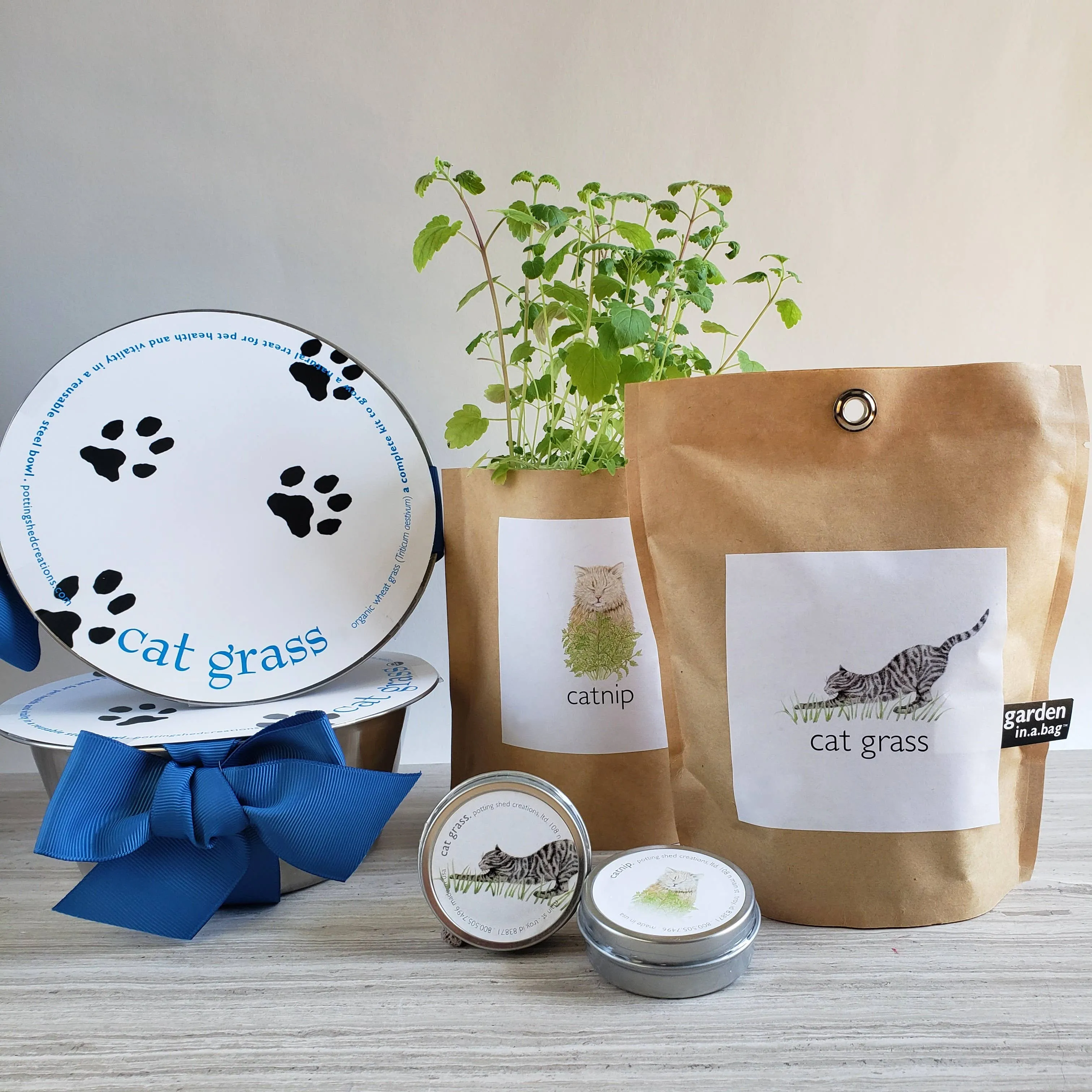 Potting Shed Creations, Ltd. - Pet Bowl | Cat Grass | NEW Christmas Gift idea