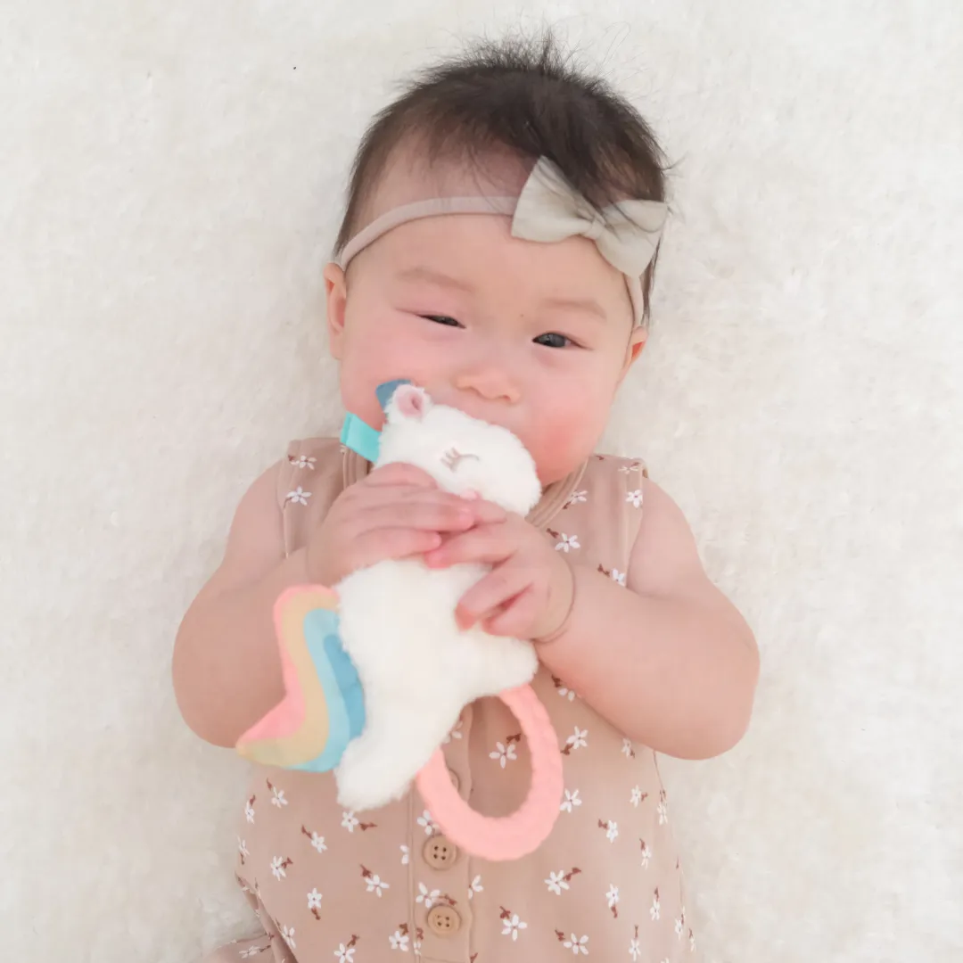 Ritzy Rattle Pal™ Plush Rattle Pal with Teether: