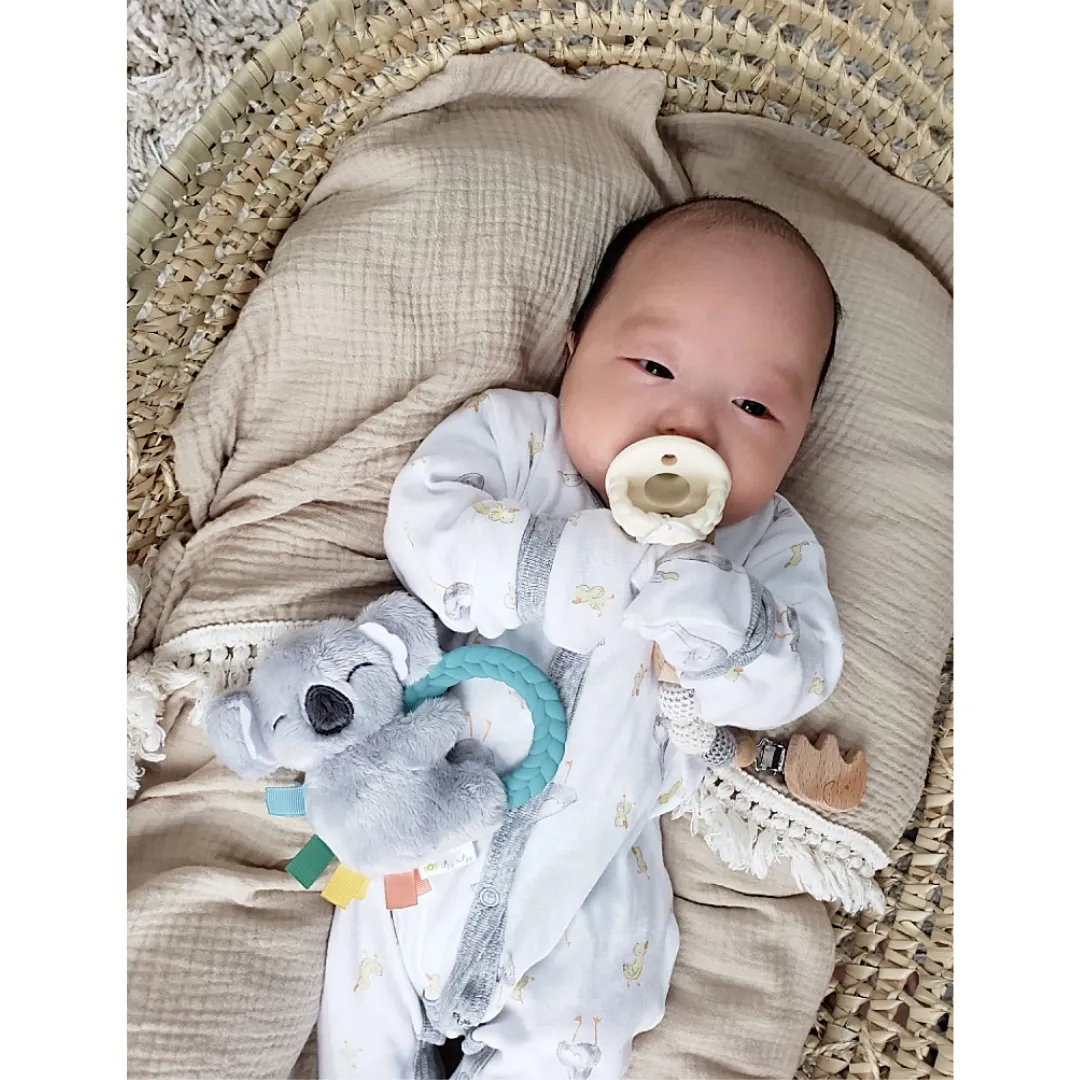 Ritzy Rattle Pal™ Plush Rattle Pal with Teether: