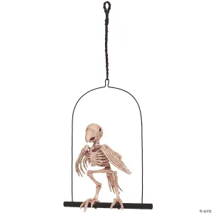Skeleton Parrot on a Perch