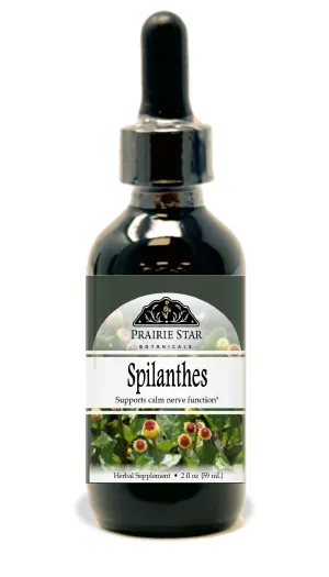 Spilanthes