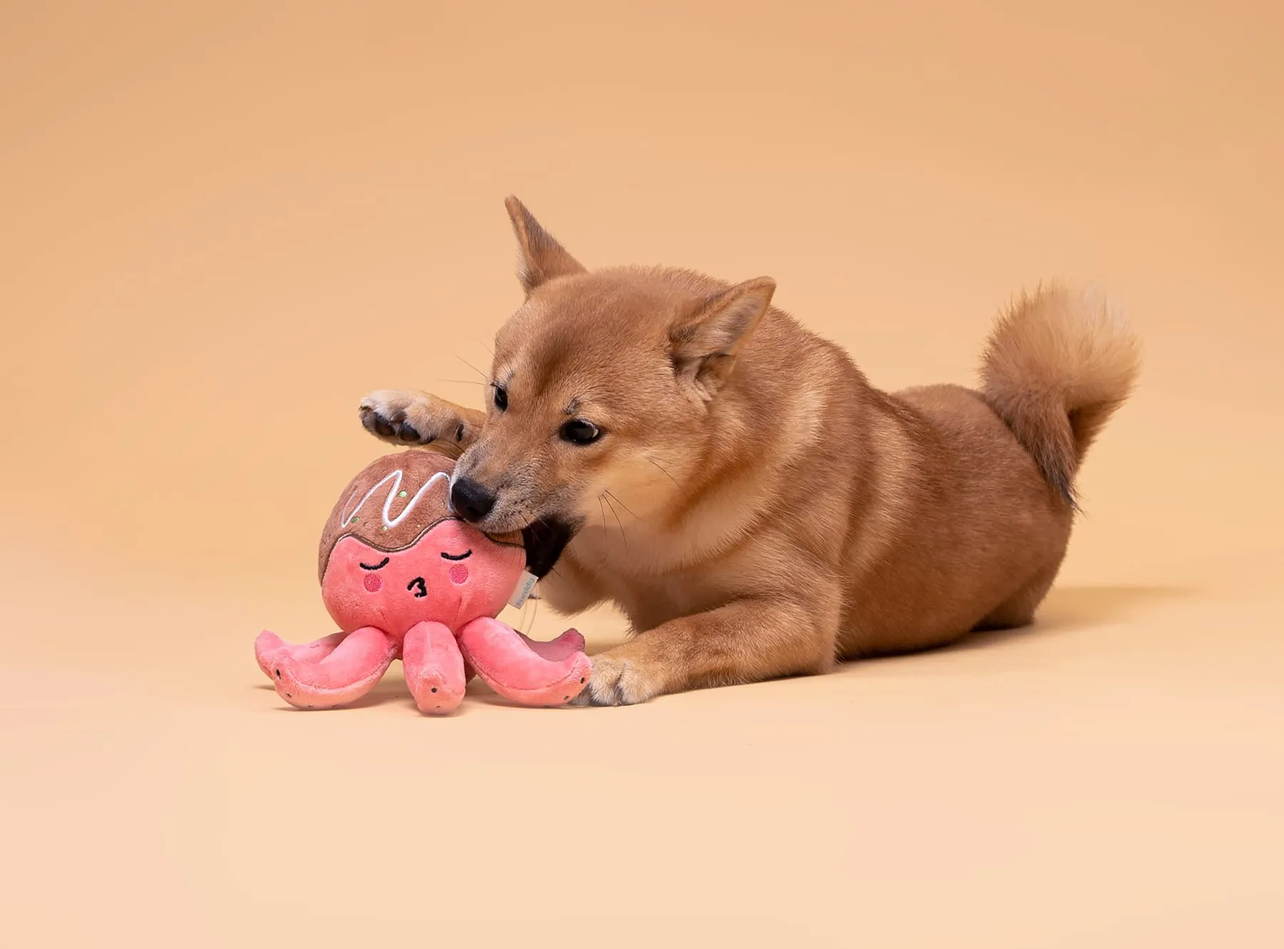 Takoyaki-kun