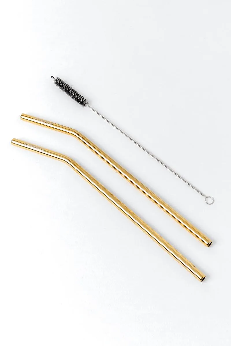 TUMBLER STRAW 2-PACK GUNMETAL