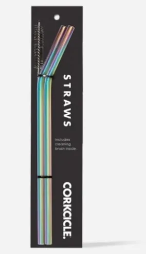 TUMBLER STRAW 2-PACK