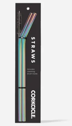 TUMBLER STRAW 2-PACK