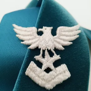 White Vintage Eagle Embroidered Applique Liberty Emblem Heraldic Uniform Patches Sewing Badge Embellishments